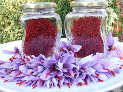 تصویر 2 از زعفران مشهد با کیفیت معروف و عطر قوی